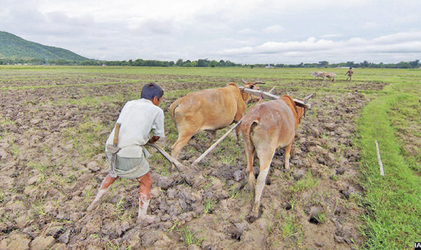 સંવેદના - મેનકા ગાંધી