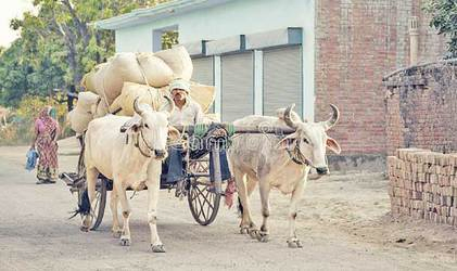 સંવેદના - મેનકા ગાંધી