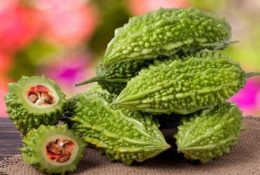 લાખ દુ;ખોની એક દવા કારેલા
