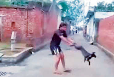 પ્રાણીઓની સંભાળ લેનારાને લોકો સહકાર આપે