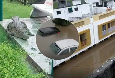 Rain wreaks havoc in Vadodara, normalcy disrupted as Vishwamitri overflows