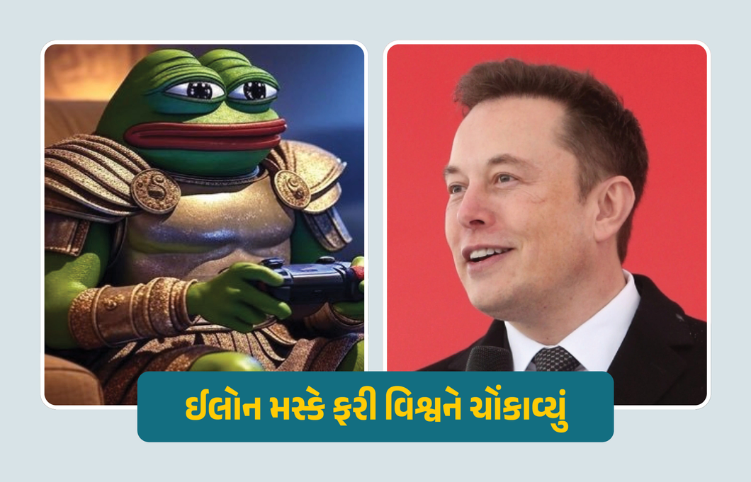 ઈલોન મસ્કે પોતાનું નામ બદલી ફરી આખી દુનિયાને ચોંકાવી દીધા, ક્રિપ્ટો જગતમાં મોટી હલચલ
