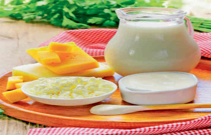 વિરુદ્ધ આહાર એટલે રોગોનું ઘર