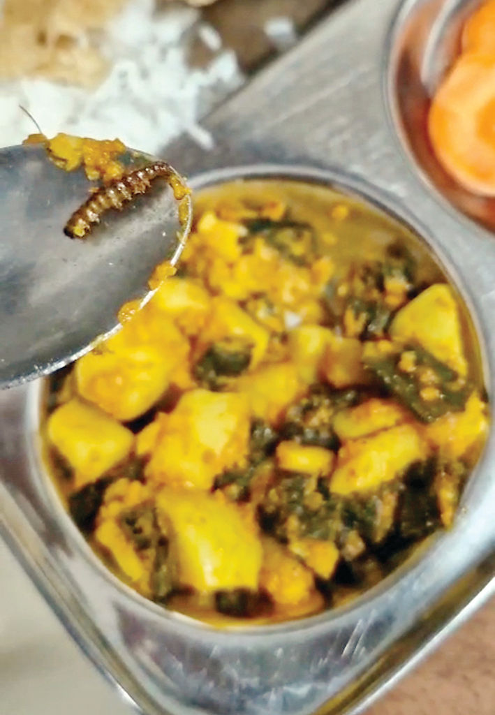 શાકમાંથી ઈયળ નીકળ્યા બાદ બોયઝ હોસ્ટેલની મેસ બંધ કરવાનો આદેશ
