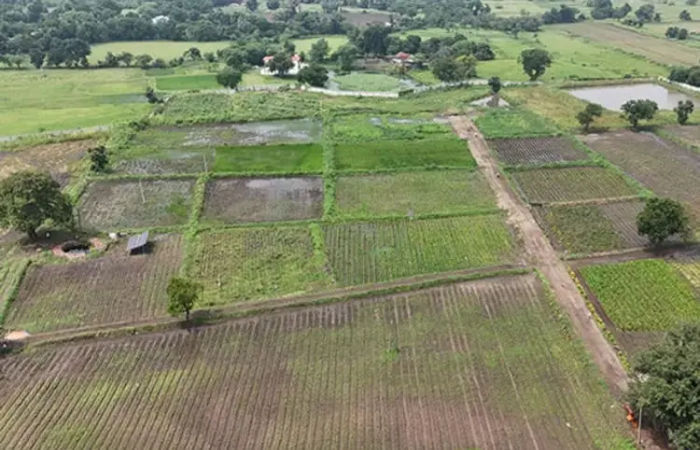 Farmer’s land converted to  ‘Shri Sarkar’, no action against businessman who had illegally usurped it
