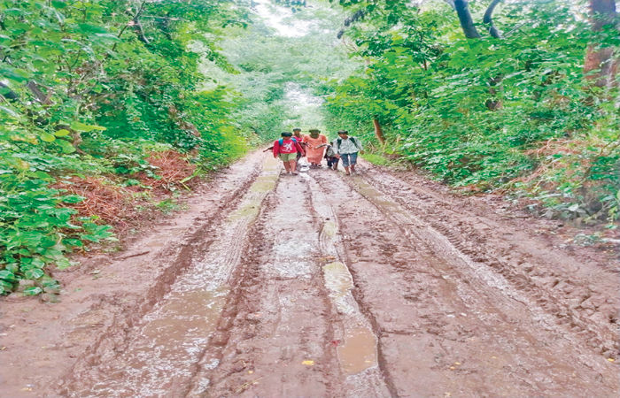 વસોના દંતાલી ગામથી આઈટીઆઈ પાછળનો રોડ બનાવવામાં ઠાગાઠૈયા
