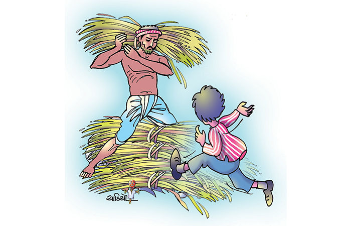 પુત્રની સલાહ                                       .
