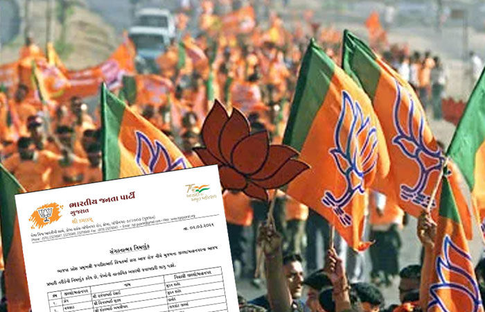 ગુજરાત ભાજપના સંગઠનમાં મોટા ફેરફાર, તમામ જિલ્લા-મહાનગરો અને વિવિધ મોરચાઓના પ્રભારીઓની જાહેરાત