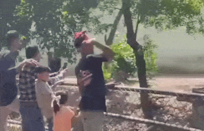 Youth seen throwing stones at tiger in Surat zoo