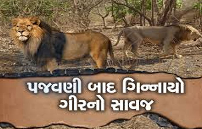 પુરપાટ ઝડપે ગાડી દોડાવી સિંહને ઉભી પૂછડીએ ભગાડયો : વિડીયો વાયરલ થયો