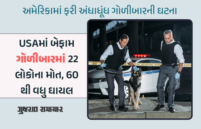 અમેરિકામાં બની મોટી ઘટના, અંધાધૂંધ ગોળીબાર કરી હુમલાખોરે 22ના જીવ લીધા, 60 લોકો ઘવાયા