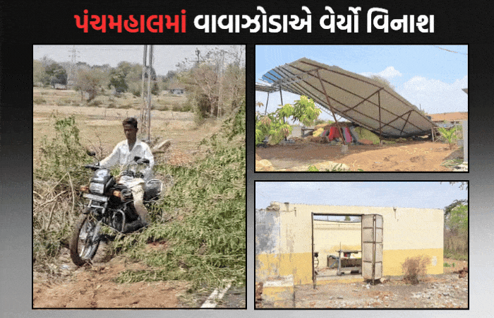 પંચમહાલના શહેરામાં આકાશી આફત: વાવાઝોડા સાથે તોફાની વરસાદમાં 2 ના મોત, ભારે તબાહી