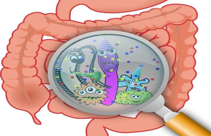 Gut microbiome changes may signal onset of rheumatoid arthritis