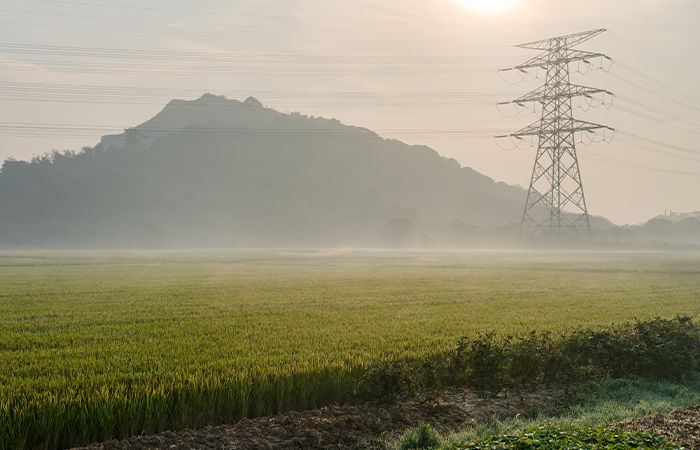 State’s electricity requirement peaks; no relief for farmers suffering shortages