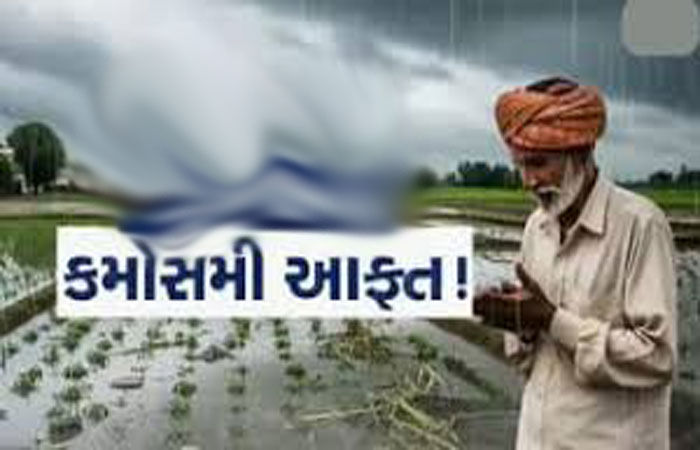 સુરેન્દ્રનગરમાં 3 દિવસ કમોસમી વરસાદના યલો એલર્ટથી ખેડૂતો ચિંતિત