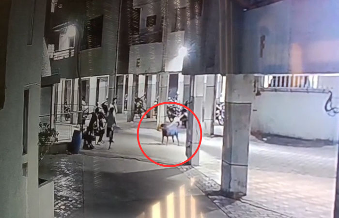 Four-month-old baby mauled to death by pet Rottweiler in Ahmedabad's Hathijan