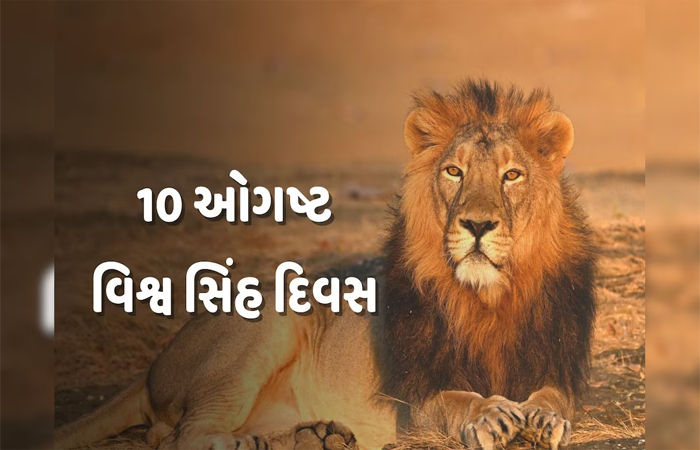 ભાવનગર જિલ્લાના 4 તાલુકા વિસ્તારને સિંહ પરિવારોએ અપનાવ્યો