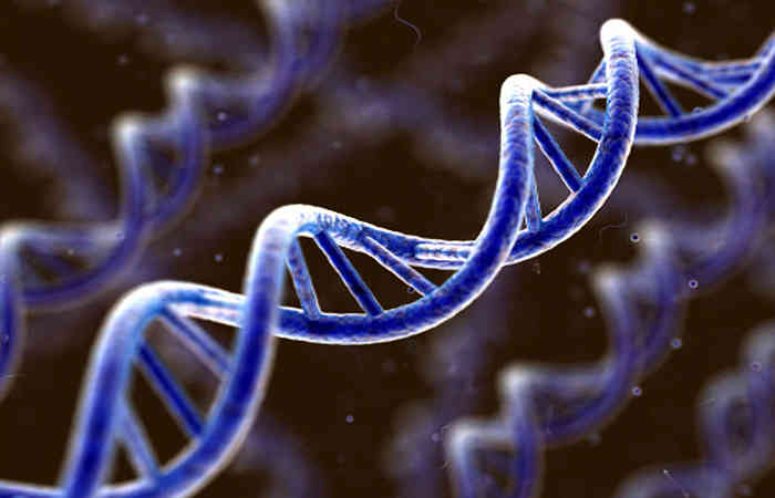 વડોદરા: S-gene ડિટેક્ટ કરવાવાળી RTPCR કીટ થી "ઓમિક્રોન"નું ઝડપી નિદાન