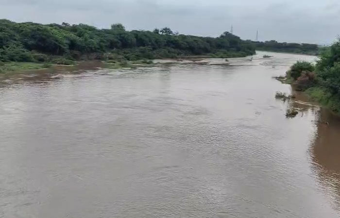 અમરેલી જિલ્લામાં ઉપરવાસમાં ભારે વરસાદ, શેત્રુંજી સહિતની નદીમાં પૂરની સ્થિતિ