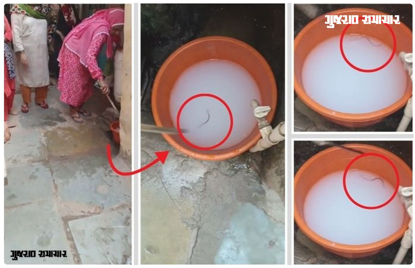 VIDEO: અમદાવાદના જમાલપુરમાં નળમાંથી ડહોળા પાણી સાથે નીકળ્યો 'કણો', તંત્રની ઘોર બેદરકારી સામે રોષ