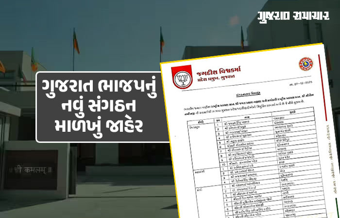 ગુજરાત ભાજપના નવા હોદ્દેદારોની જાહેરાત: ઉપપ્રમુખ, મહામંત્રી અને મોરચા પ્રમુખ સહિતની નવી નિમણૂક, જુઓ સંપૂર્ણ યાદી