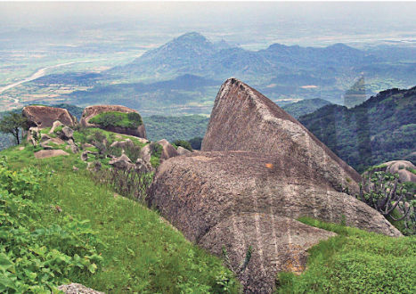 ‘Save Aravalli’ campaign gathers momentum as mining threat looms from north India to Gujarat