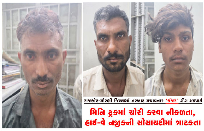 મિનિ ટ્રકમાં ચોરી કરવા નીકળતા, હાઈ-વે નજીકની સોસાયટીમાં ત્રાટકતા