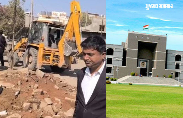ચોટીલામાં સરકારી જમીન પરની ગૌશાળા તોડી પડાતા હાઈકોર્ટ લાલઘૂમ, કહ્યું- 'ખાતાકીય તપાસ પણ થઈ શકે'
