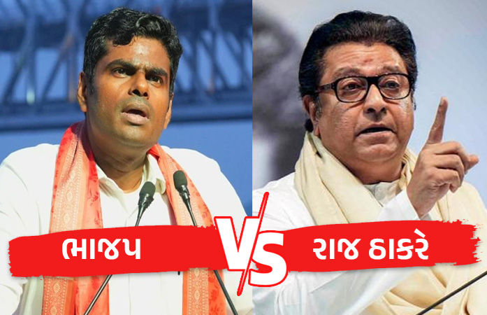 'હું મુંબઈ આવું છું, હિંમત હોય તો...', રાજ ઠાકરેની ધમકી બાદ અન્નામલાઈની MNSને ચેલેન્જ