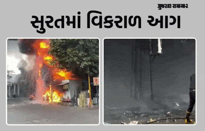 સુરતના અડાજણમાં TVS-EV શૉ રૂમમાં ભીષણ આગ, 15થી વધુ વાહનો રાખ, બાજુની બે દુકાનો પણ ઝપેટમાં