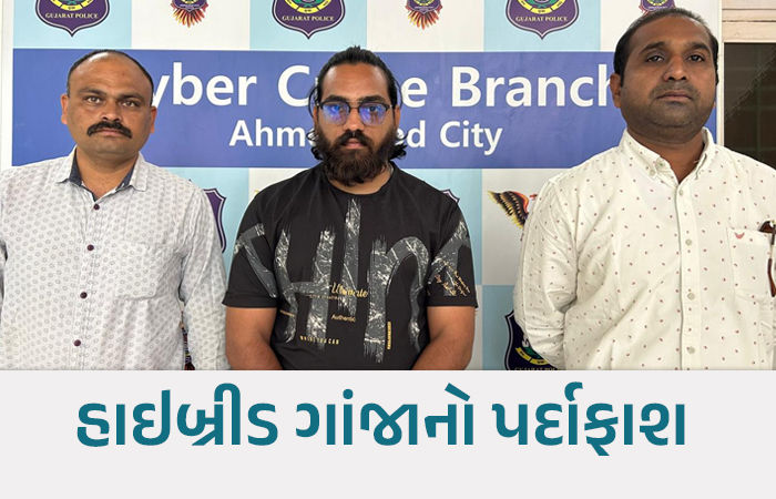 અમદાવાદ: સ્નેપચેટ પર ઓર્ડર અને આંગડિયાથી પેમેન્ટ! રૂ.14 લાખના હાઇબ્રીડ ગાંજા સાથે એકની ધરપકડ