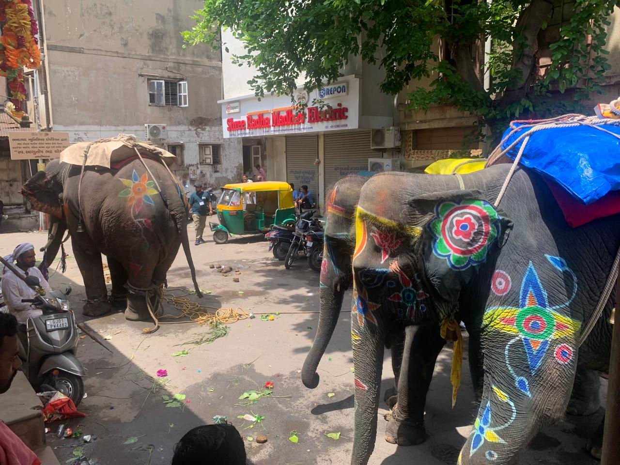 રથયાત્રાના  ખાડીયાના ઈતિહાસમાં પહેલીવાર બેકાબૂ બનેલા ત્રણ હાથીએ ખાડીયામાં ઉત્પાત મચાવતા પાંચ લોકો ઈજાગ્રસ્ત