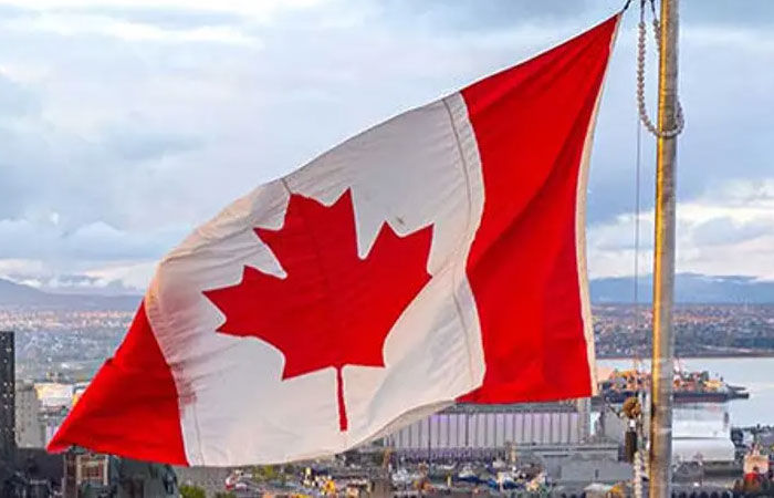 Canadian dream shatters? 35% decline in Gujarati aspirants moving to Canada