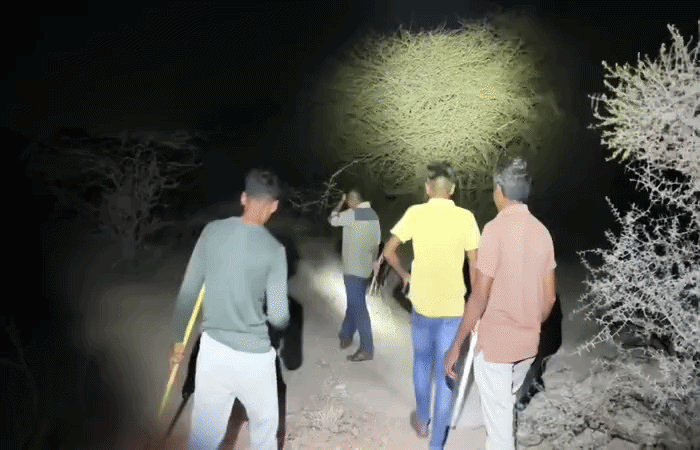જામનગર નજીક મોખાણા ગામની સીમમાં દીપડો દેખાતાં ગ્રામજનોમાં ભયનો માહોલ : ફોરેસ્ટ વિભાગે હાથ ધરી શોધખોળ