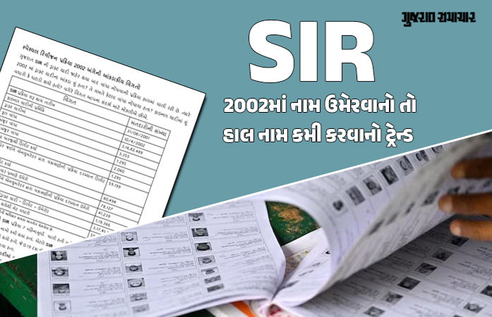 ગુજરાતમાં SIR મુદ્દે રાજકીય 'ગજગ્રાહ': 2002માં નામ ઉમેરવાનો ટ્રેન્ડ, તો અત્યારે 'નામ કમી'ની બબાલ! RTIના ચોંકાવનારા આંકડા