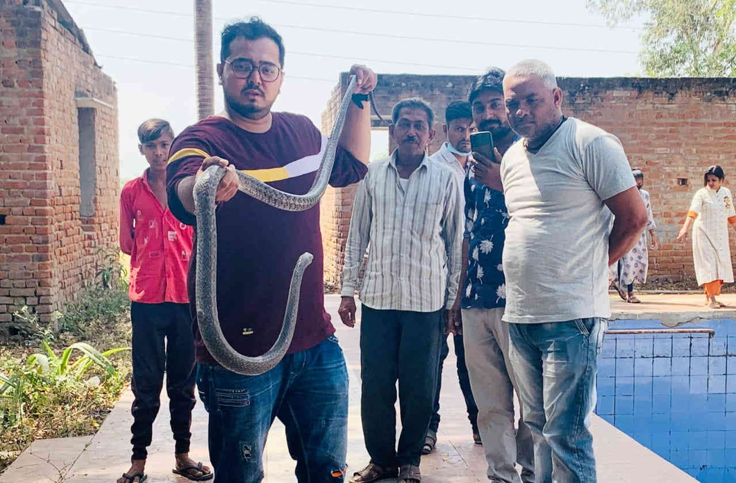 વટવા પાસેના ફાર્મમાંથી છ ફૂટના સાપનું રેસ્કયુ કરાયું