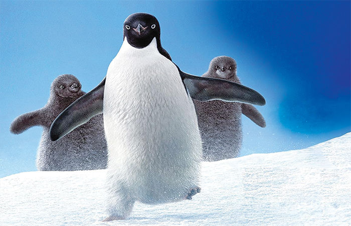 Penguin Power Love, Survival,and the Coolest March on Earth