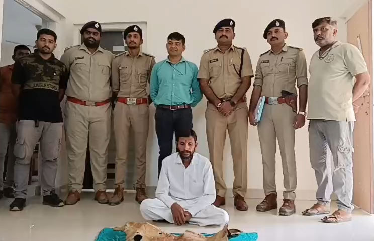 સાવરકુંડલામાં સિંહના નખ અને કાળિયારના ચામડા સાથે એક વ્યક્તિ ઝડપાયો, શિકારની આશંકાએ તપાસનો ધમધમાટ