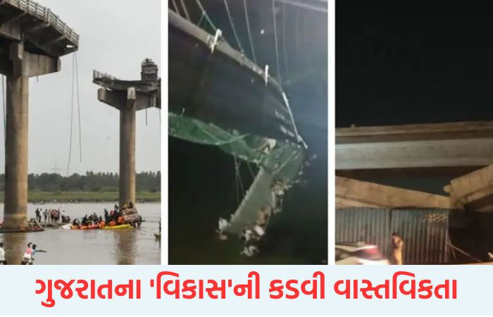 ગુજરાતમાં છેલ્લા 5 વર્ષમાં 17 પુલ ધરાશાયી, વિકાસની સાથે વિશ્વાસનો પુલ પણ તૂટ્યો