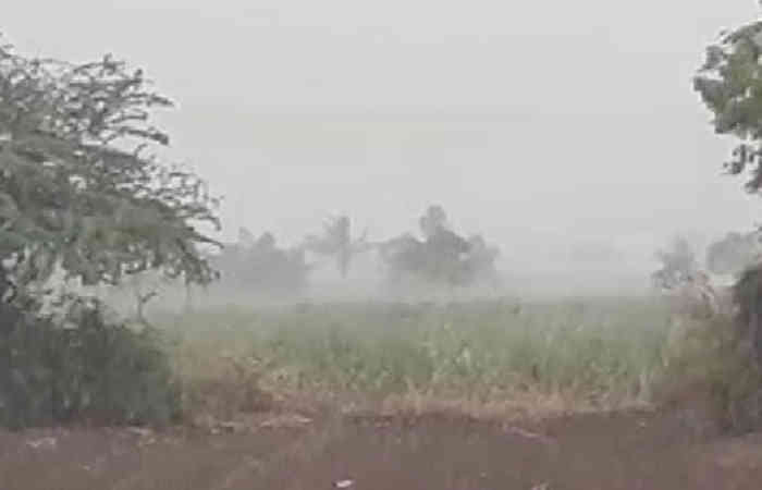 ચૈતર વૈશાખના વાયરા .