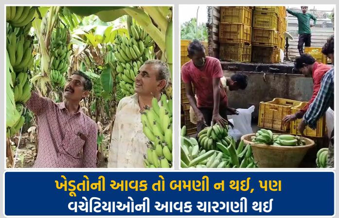 અમરેલી: કેળા પકવતા ખેડૂતો રાતા પાણીએ રડ્યા, રૂ. 50,000ના ખર્ચ સામે રૂ 1 કિલોનો ભાવ