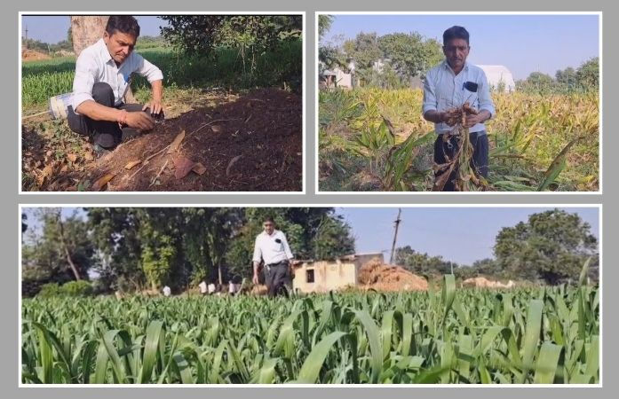 પંચમહાલ: વલ્લવપુરના ખેડૂતે રાસાયણિક ખેતી છોડી પ્રાકૃતિક ખેતીથી સોનું પકવ્યું, ખર્ચ ઘટ્યો અને ઉત્પાદન વધ્યું
