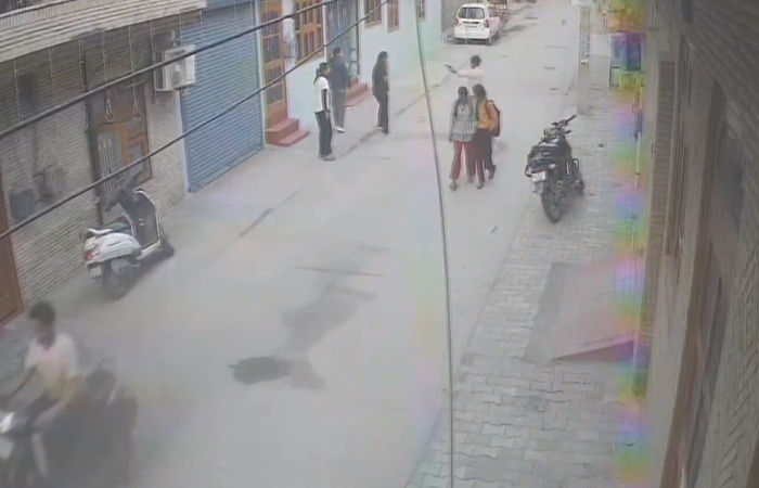 VIDEO : હરિયાણામાં ધોળા દિવસે યુવતી પર ગોળીબાર, હુમલાખોર ઓળખીતો જ નીકળ્યો