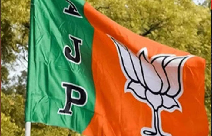 BJP Chief Election: ભાજપ રાષ્ટ્રીય અધ્યક્ષ ચૂંટણી જાહેર, 20 જાન્યુઆરીએ નવા પાર્ટી અધ્યક્ષનું એલાન