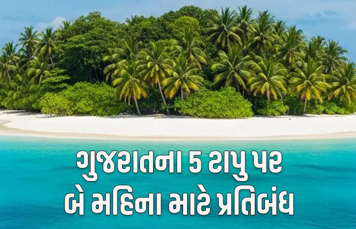 ગુજરાતના  5 ટાપુઓ પર સહેલાણીઓના પ્રવેશ પર પ્રતિબંધ! જાહેરનામાનો ભંગ કરનાર સામે કાર્યવાહી થશે