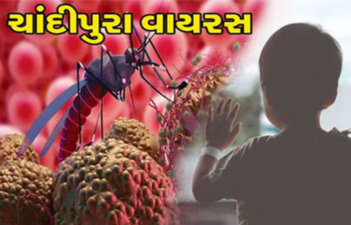 ગુજરાતમાં જીવલેણ ચાંદીપુરા વાયરસ વકર્યો, 4 બાળકોનાં મોતથી તંત્ર ચિંતિત, પોઝિટિવ કેસ 22 થયા