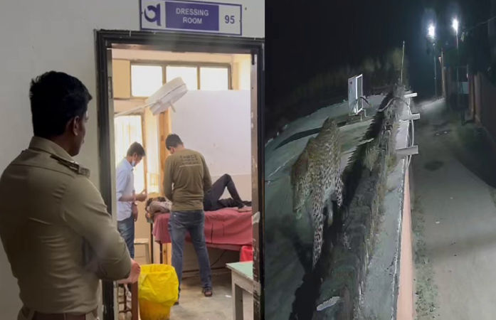 VIDEO: અમરેલીના ખાંભામાં યુવાન પર સિંહનો હુમલો, ધારીના બોરડી ગામે દીપડાના આંટાફેરાથી સ્થાનિકોમાં ભય