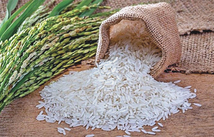 ભારતના ચોખા નિકાસકારો મુંઝવણમાં
