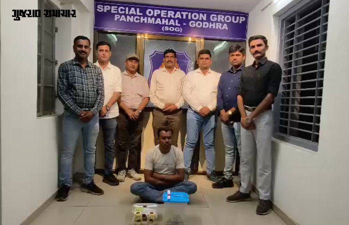 VIDEO | વ્હેલ માછલીની ઊલટીની તસ્કરી: 768 ગ્રામ એમ્બરગ્રીસ સાથે એક શખસ ઝડપાયો, કિંમત જાણી ચોંકી જશો