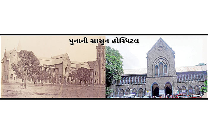 હોસ્પિટલના ઓરડામાં બાપુ બોલી ઉઠયાં કે 'આવો, બોરસદના રાજા, આવો'